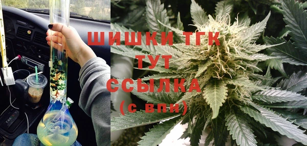 стафф Горняк