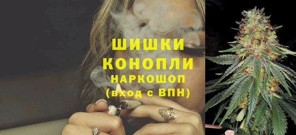 шишки Горнозаводск
